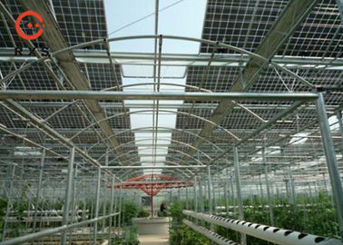 El panel solar monocristalino de cristal dual, tipo transparente del panel solar de 305W Perc