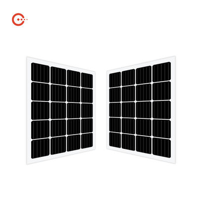 calidad  Rixin CE BIPV Solar Panels Transparent Glass Monocrystalline PV Module Fábrica